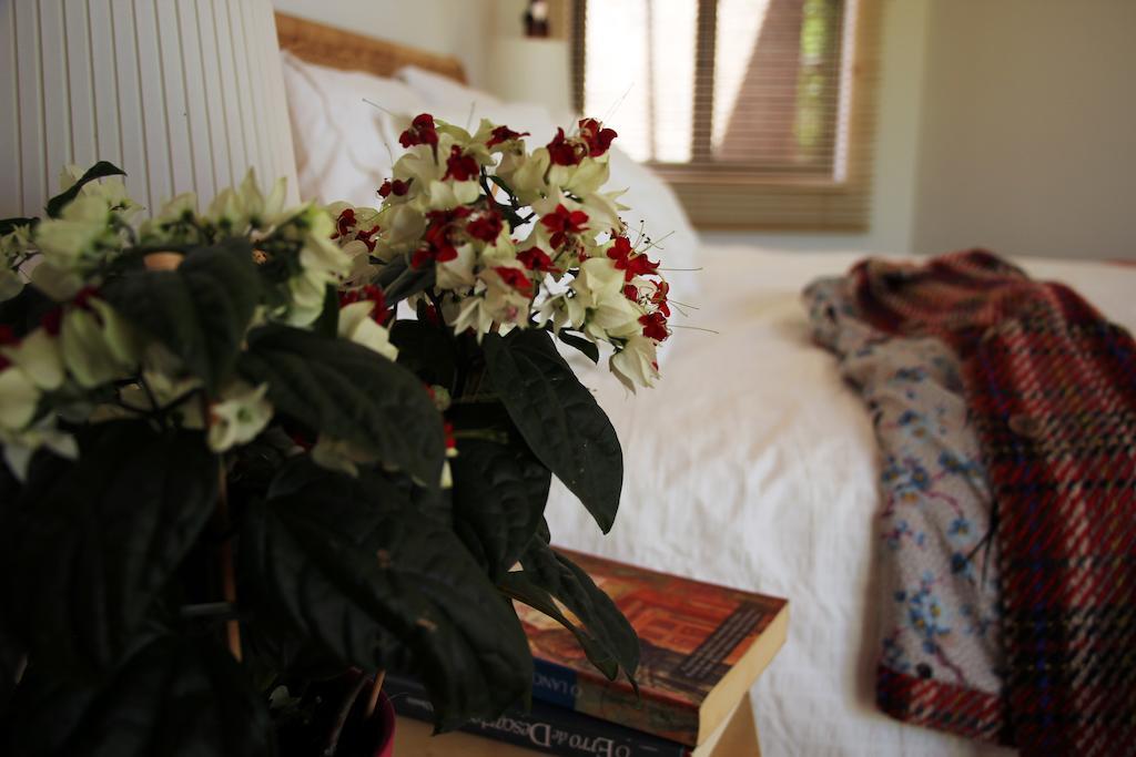 A Casa Da Arvore Bed & Breakfast Vila Nova de Milfontes Cameră foto